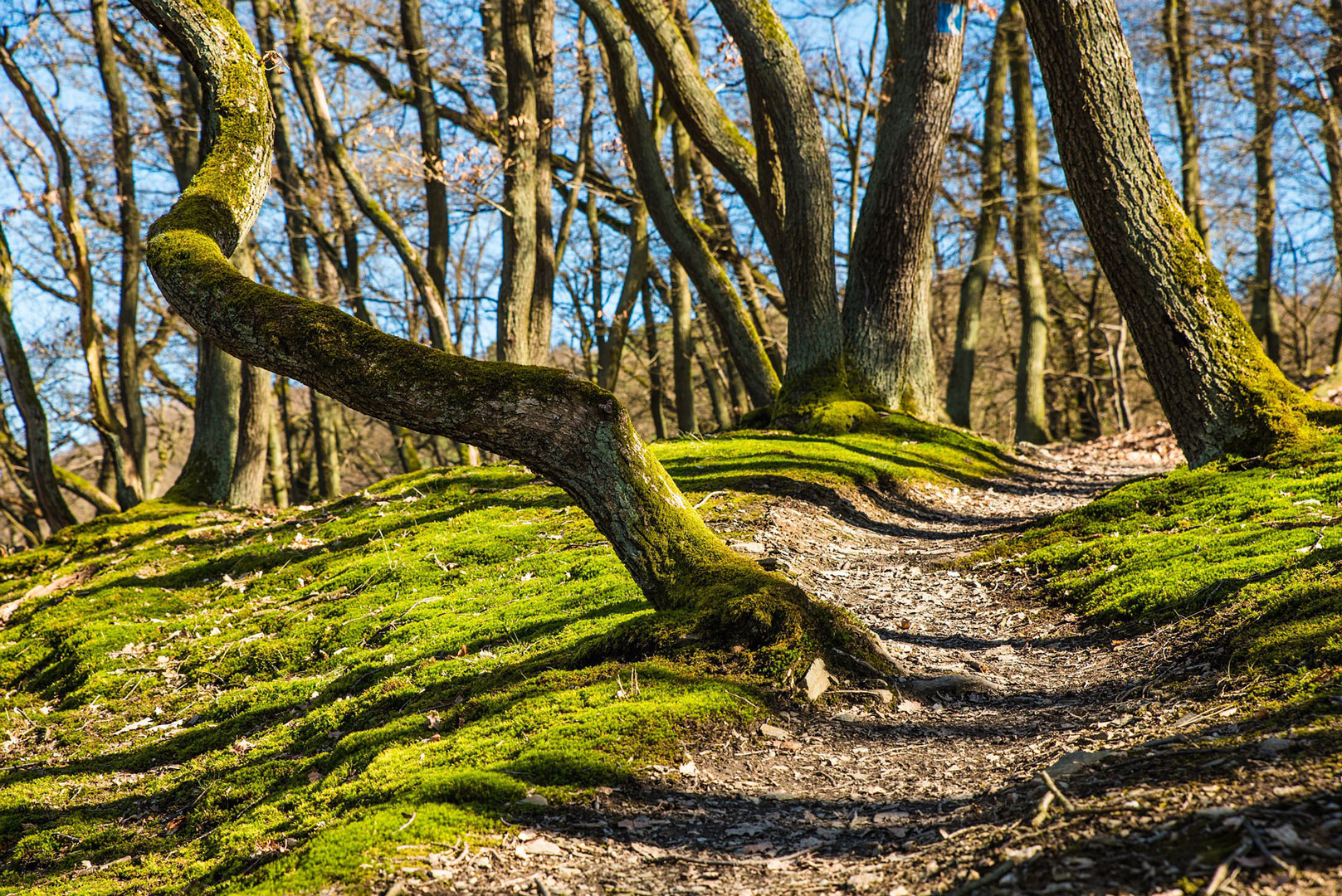 Wanderung am Schmugglerweg 