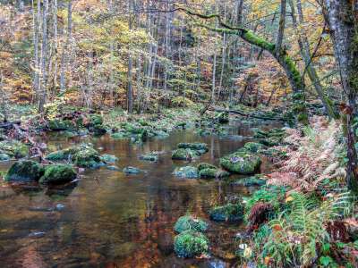 Schönheit der Natur entlang der Buchberger Leite genießen