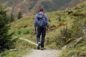 Rundwanderweg am Brotjacklriegel