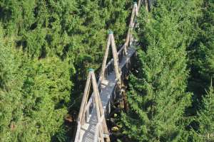 Baumkronenweg Kopfing besuchen