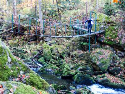 Die Hängebrücke - ein Highlight für alle Kinder