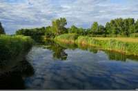 Windorf mit Donauinsel