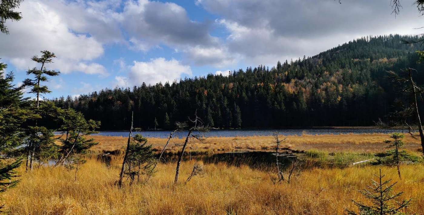 Der große Arbersee