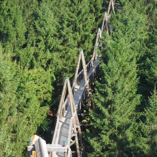 Baumkronenweg Kopfing besuchen