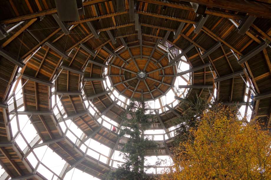 Treetop path at the Lusen National Park Center near Neuschönau