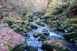 Wildbachklamm - Buchberger Leite