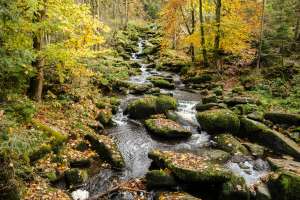 Saußbachklamm Waldkirchen