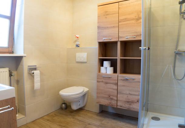 WC, bathroom cabinet and shower cubicle