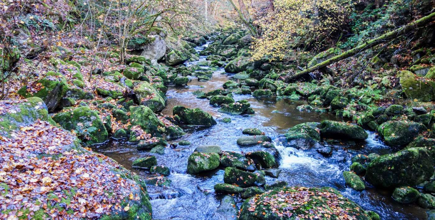 Wildbachklamm - Buchberger Leite