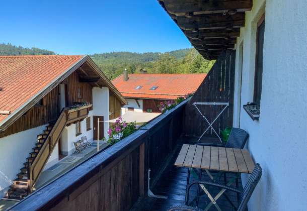 View from the balcony of the garden and the neighboring houses