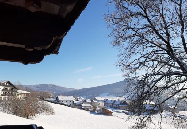 Apartmán Hauzenberg: Výhled z balkonu v zimě