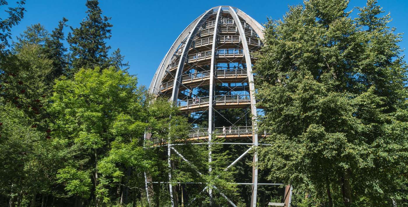 Aussichtsturm "Das Ei" des Baumwipfelpfads im Nationalpark Bayerischer Wald