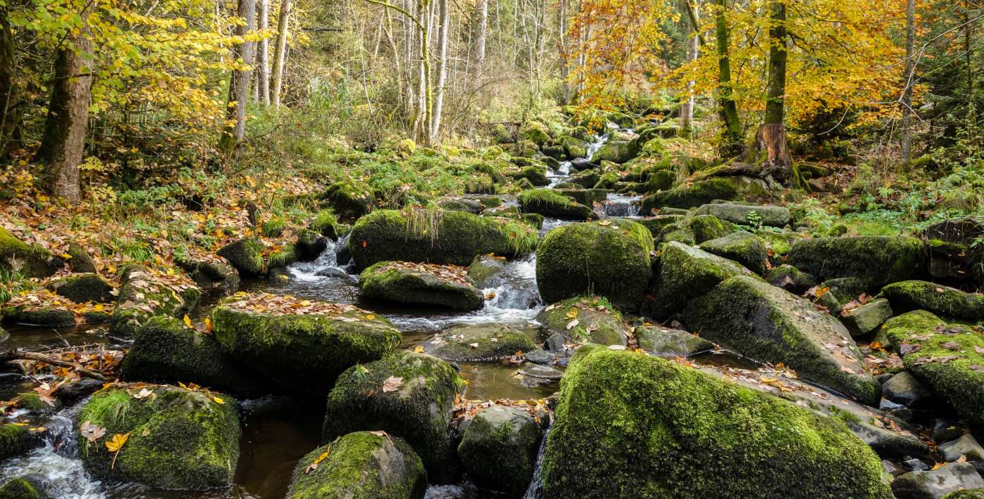 Saußbachklamm Waldkirchen